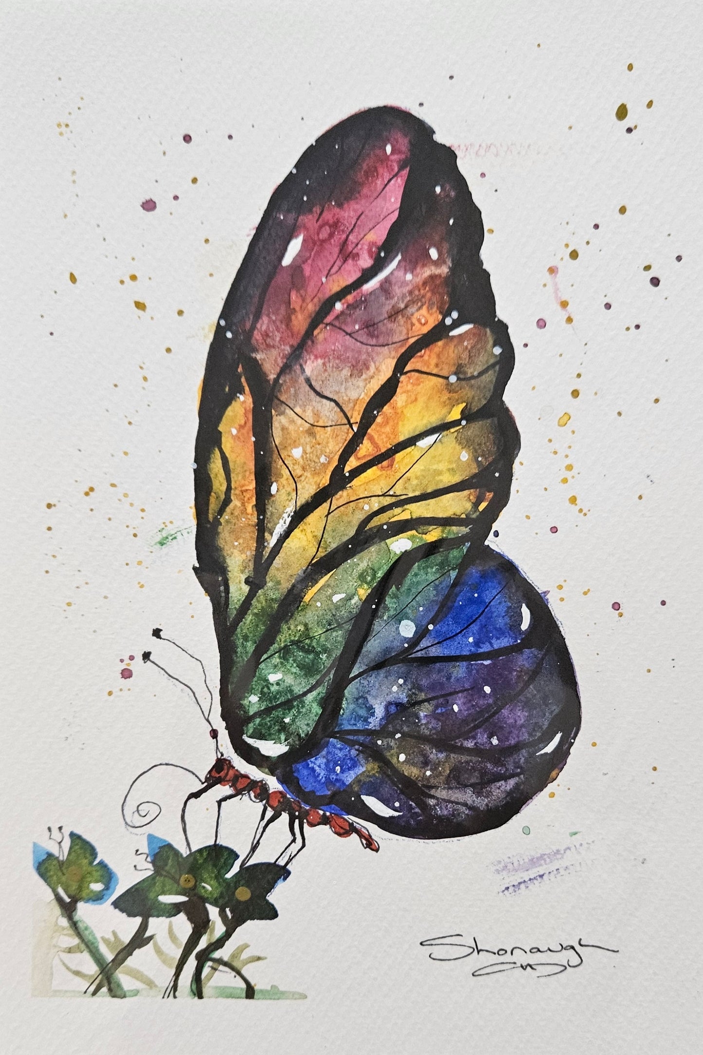 Art - 'A Symphony of Colours'