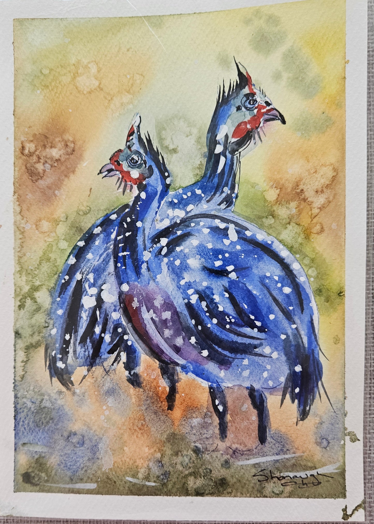 Art - 'Feathered Fowl"