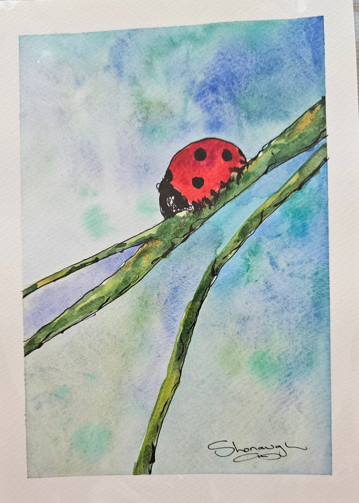 Art - 'ladybug'