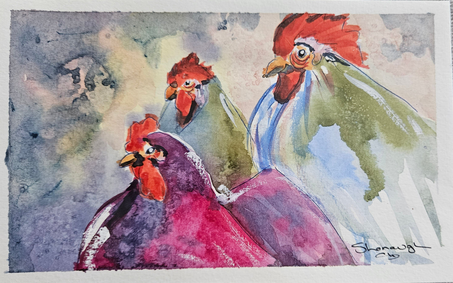 Art - 'Coockooloo'