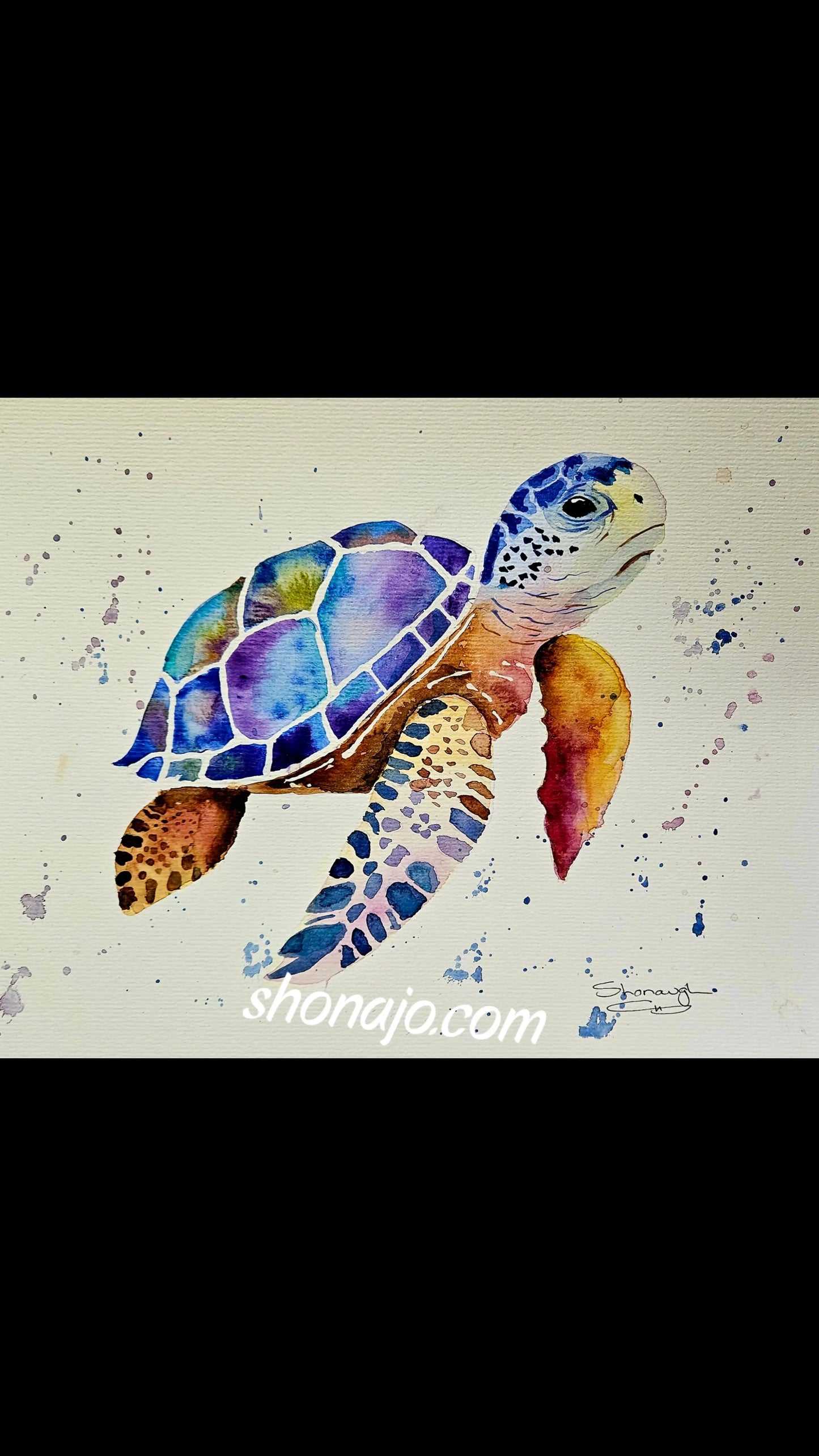Art - Turquoise Turtle