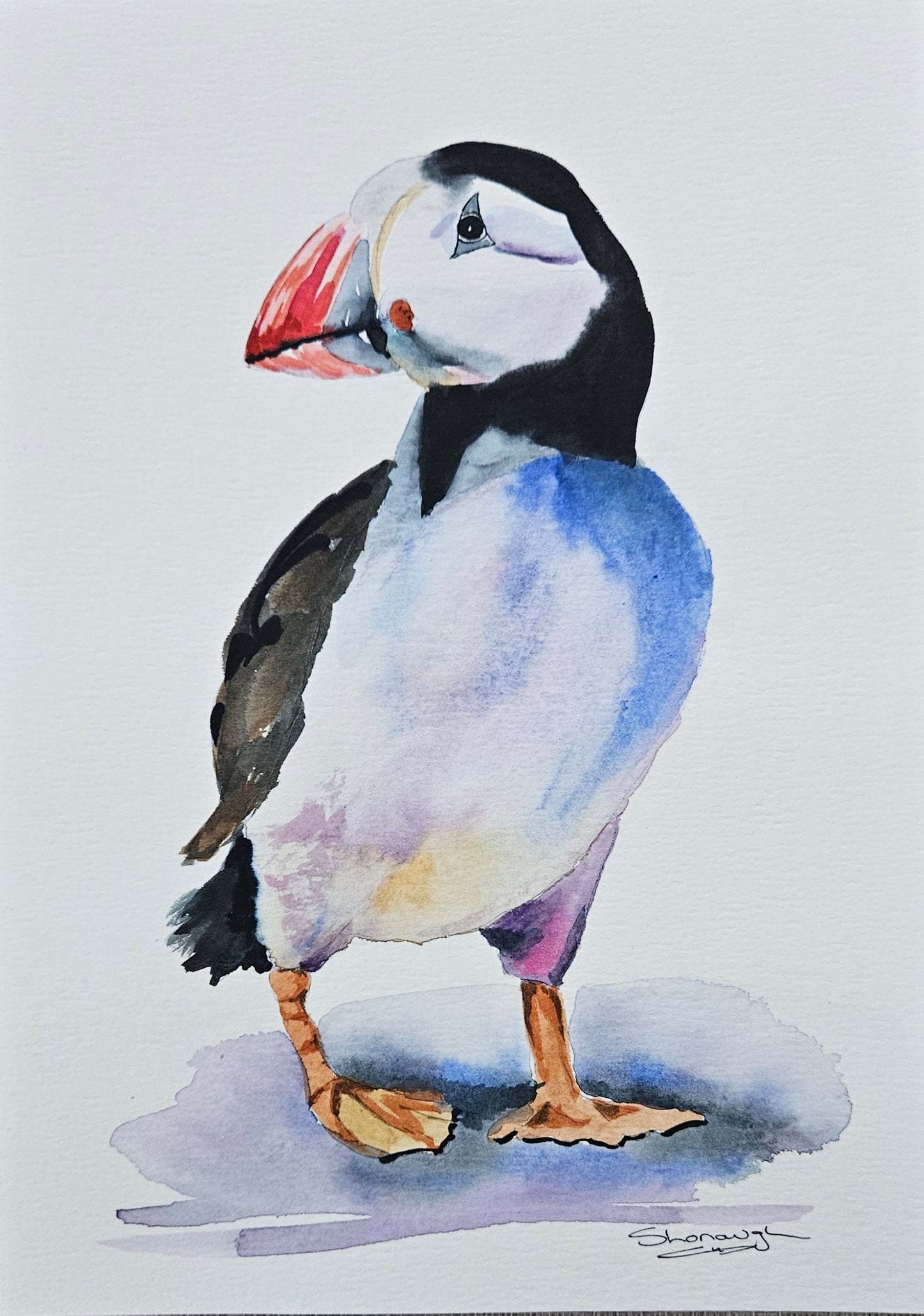 Art - Puffin'