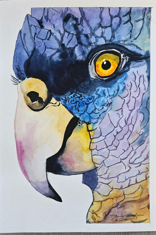 Art - 'Black Cockatoo'