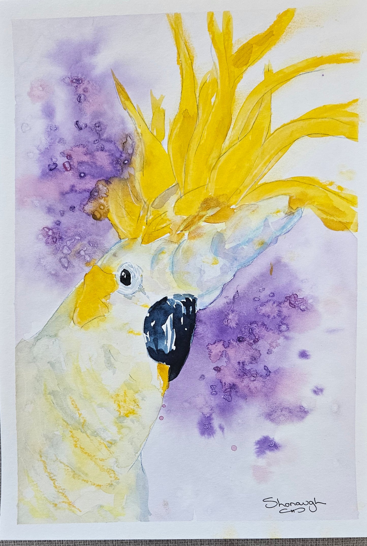 Art - 'Sulfer Crested Cockatoo"