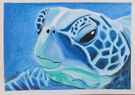 Art - 'Loggerheads Grace'