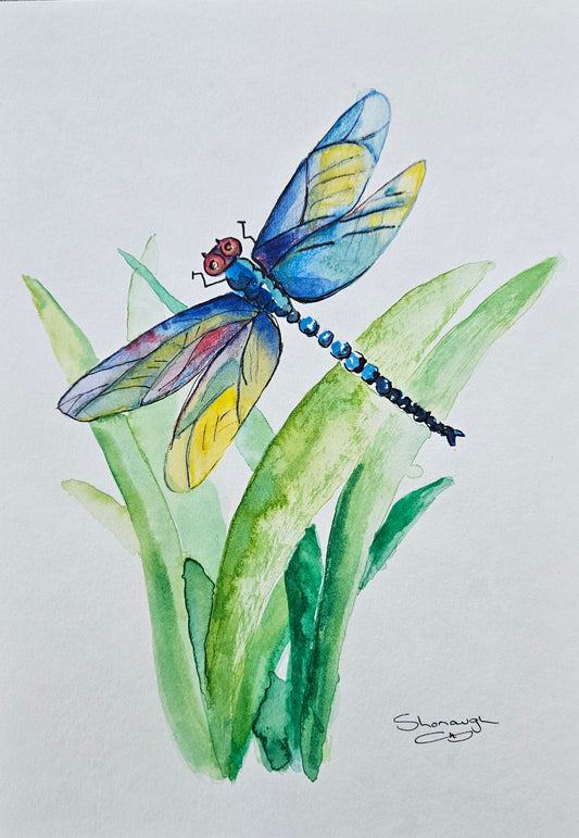 Art - 'Dragonfly'