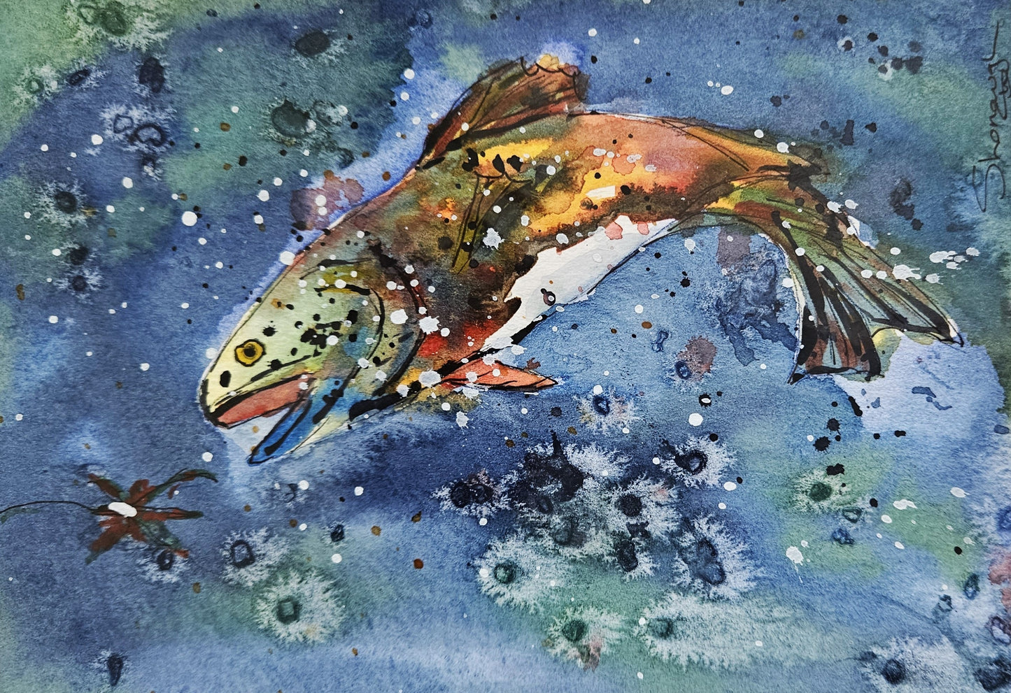 Art - 'Catching the Fly'