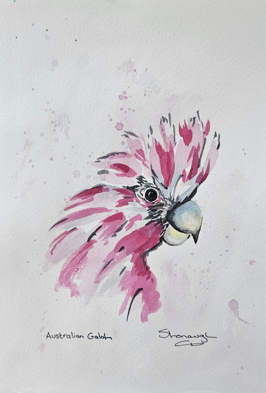 Art - 'Australian Galah'