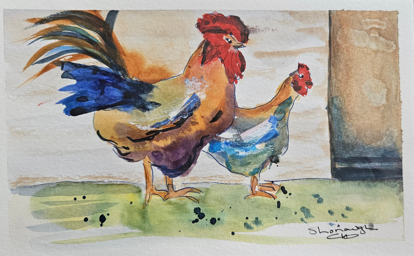 Art - 'Chooks'