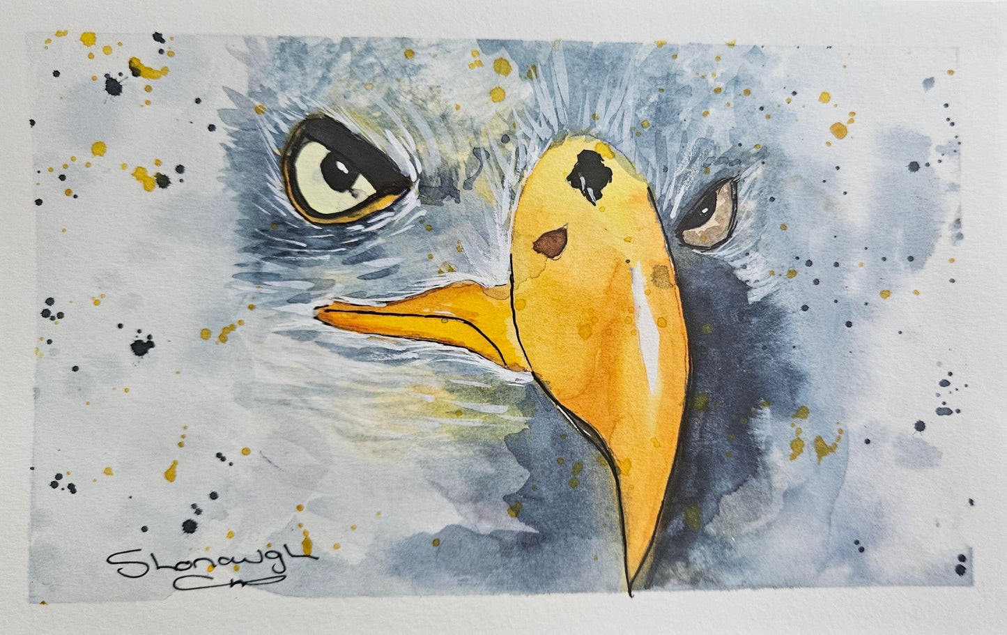 Art - 'Eyes of Wisdom'