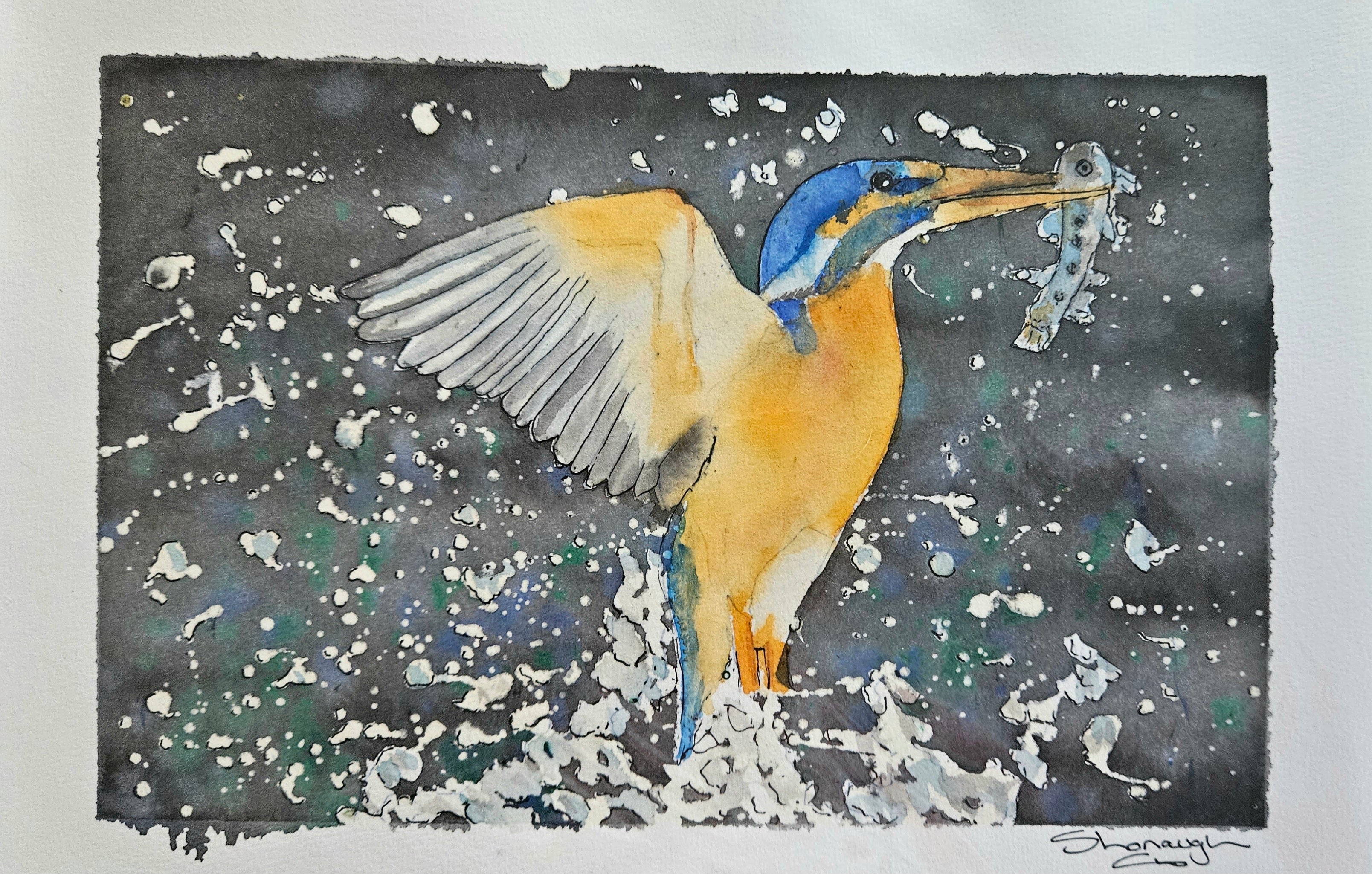 Art - 'Kingfisher's Truimph'