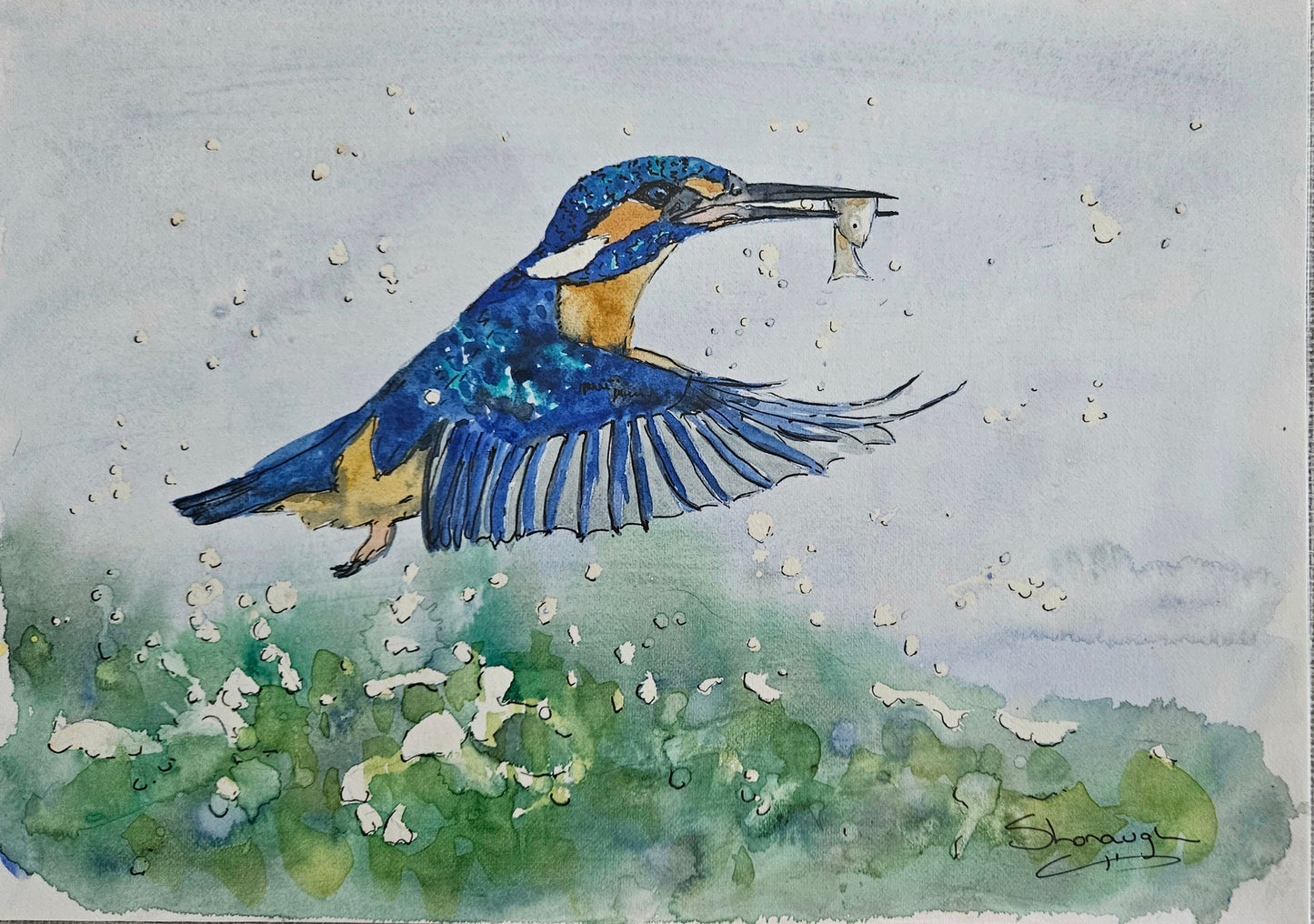 Art - 'Swift Sweep'